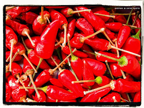 Red Hot Chili Peppers, peperoncini piccanti, rossi, hot, essicazione peperoncini piccanti, foto Ischia, Canon S95, hard, 