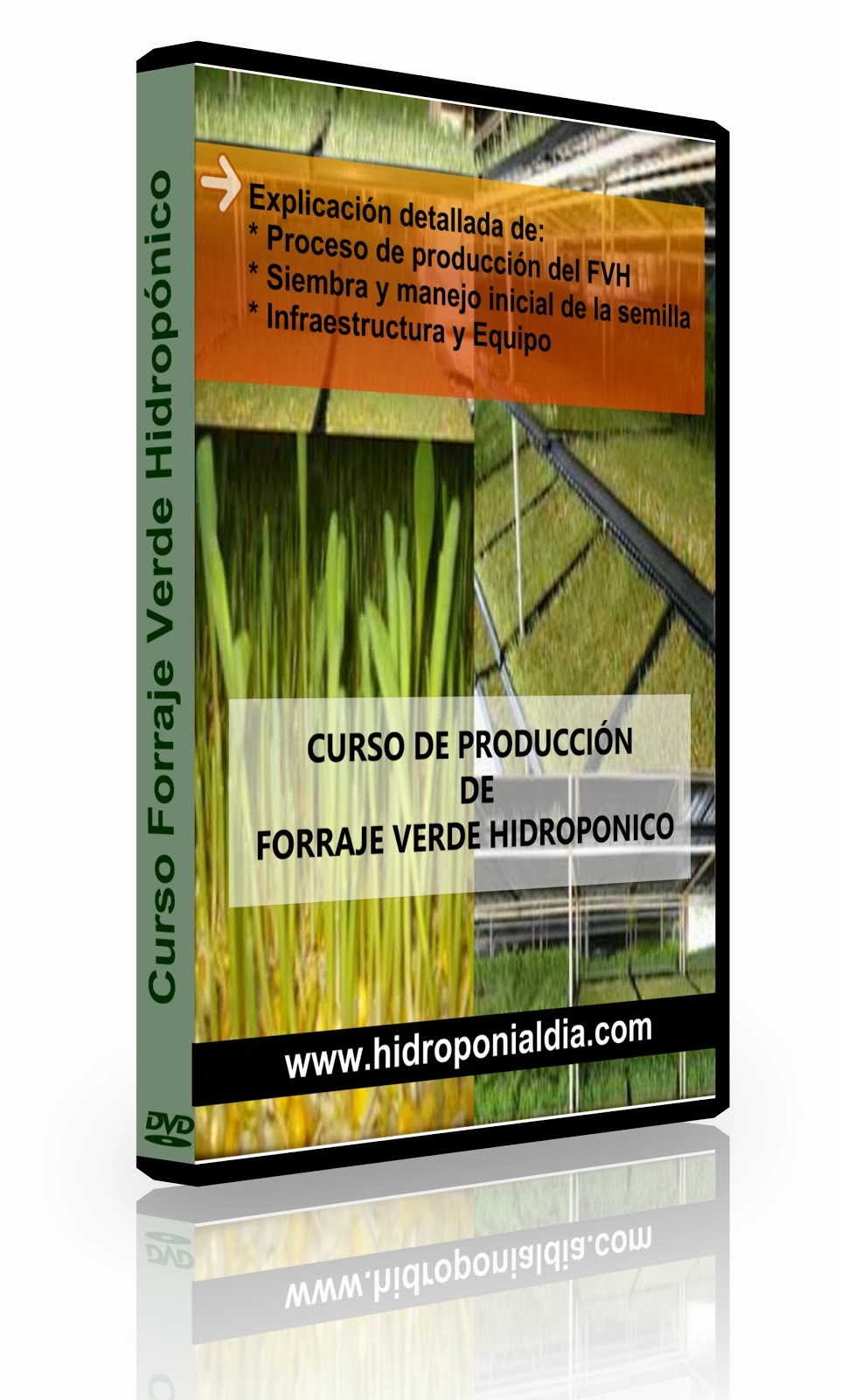 Curso Producción Forraje Verde Hidroponico