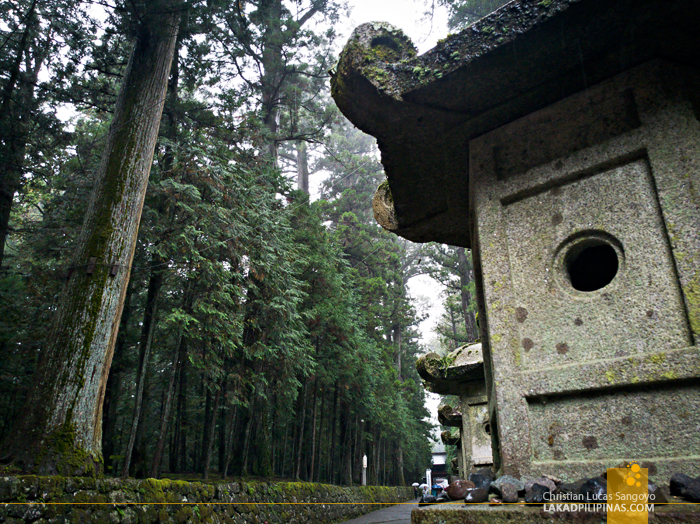 Nikko Temple Run Tosho-gu Shrine Pathway