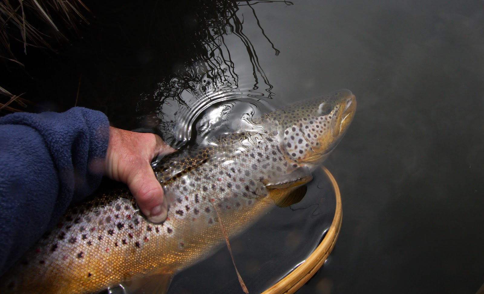 Fly Paper So What Does Make a Great Fisherman?