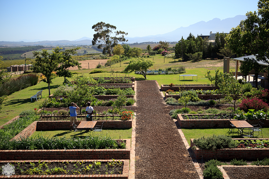 Aloës Kitchen Tea Longridge Stellenbosch Aglow Photography