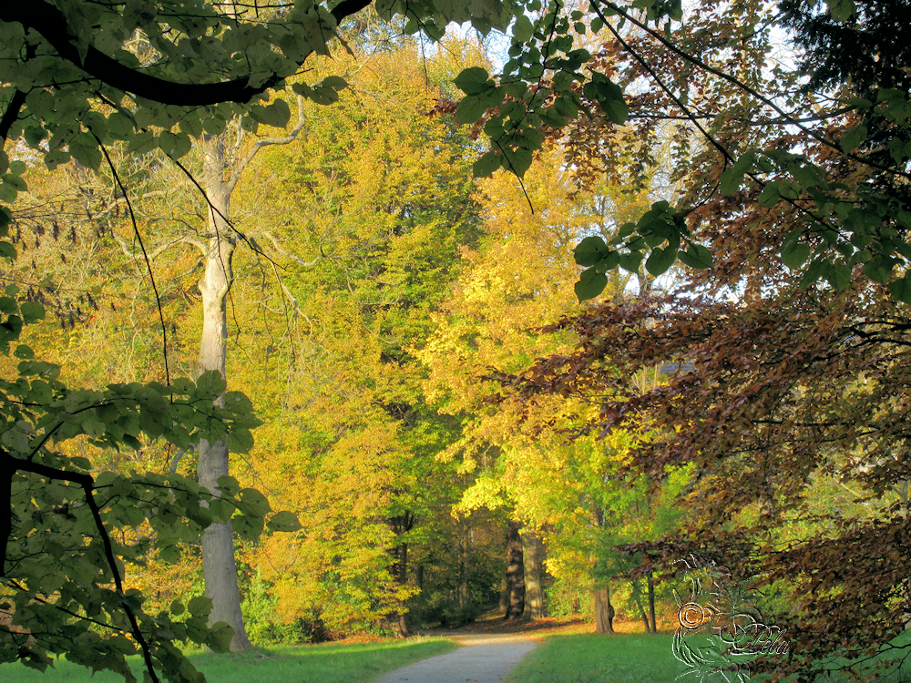 Paulas-Bilder-Foto-Allerlei : Greiz - Schloßpark
