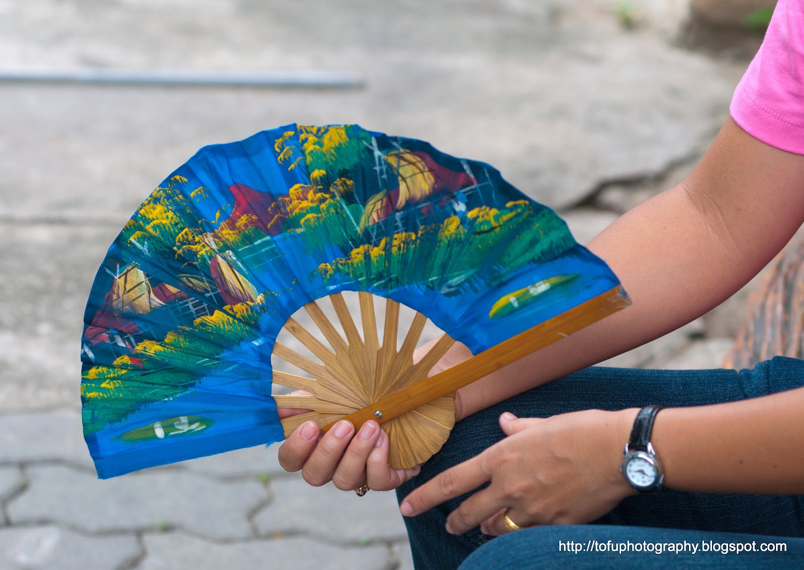 Tofu Photography Decorative hand fan