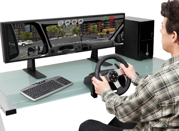 Distracted Driving Simulator