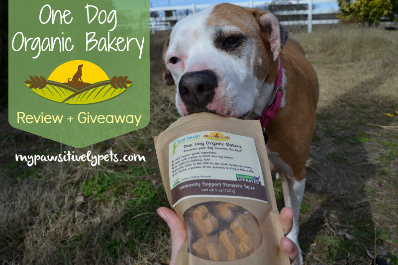 One Dog Organic Bakery Treats Review and Giveaway Pawsitively Pets