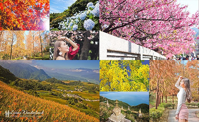 全年全台灣花季總整理 你不知道的台灣之美都在這 最完整追花秘笈 10更新 Livia S Wonderland薇笑樂園
