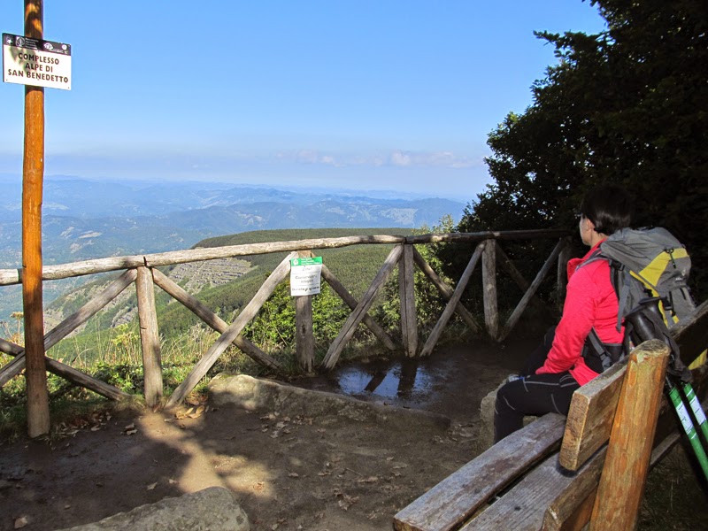 Escursionismo a 360° Monte Falco (da case Fiumari) E