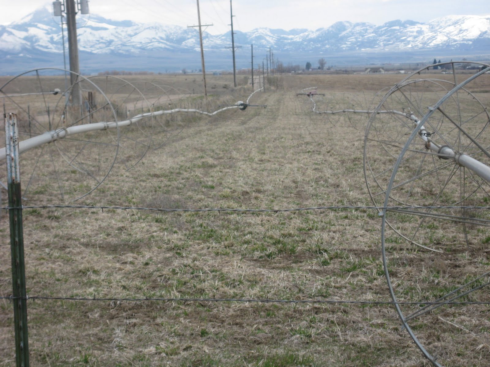 Shell's Photo Album Arimo, Idaho