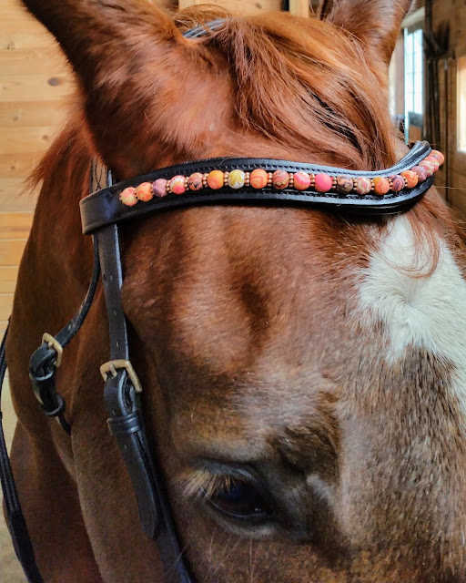 Behind the Bit What you get a horse for Christmas...