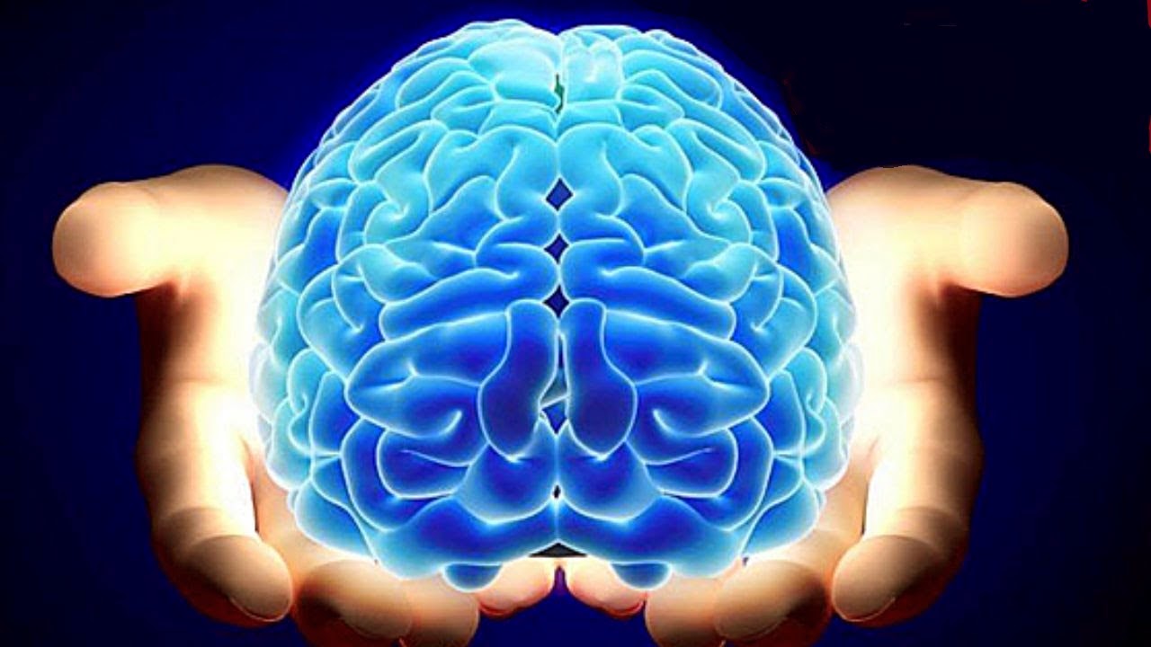 23 hábitos diarios que te harán más inteligente 23 hábitos diarios que te harán más inteligente