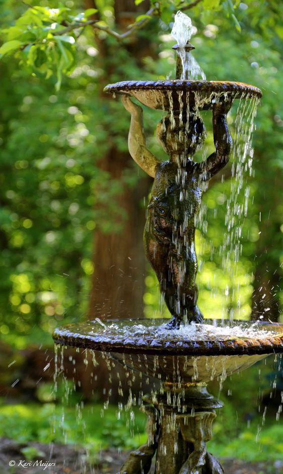 Garden Therapy Soothing Garden fountains!