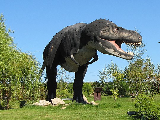 Tyranozaur (Tyrannosaurus rex) Tyranozaur (Tyrannosaurus rex)
