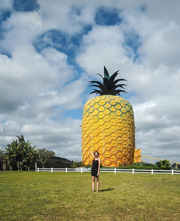 World's biggest pineapple, Bathurst, South Africa