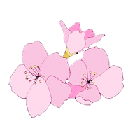 DessyBlog: Macam Macam Clip Art