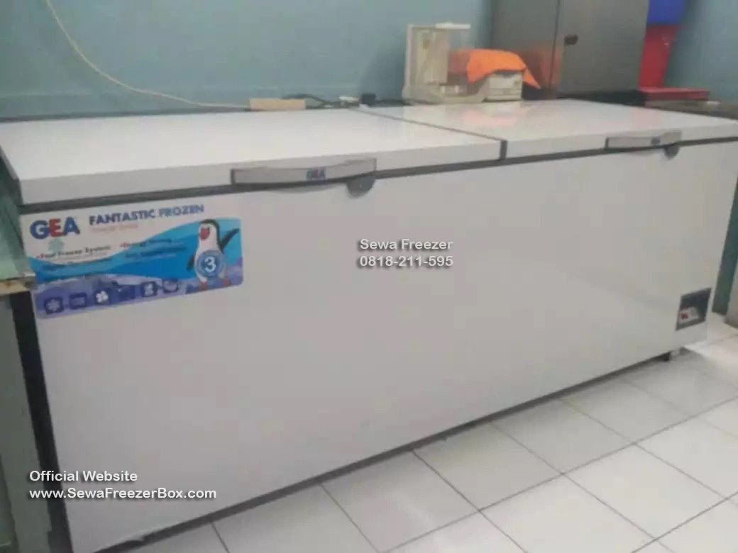 sewa freezer frozen food1000 liter Kedungkandang Malang