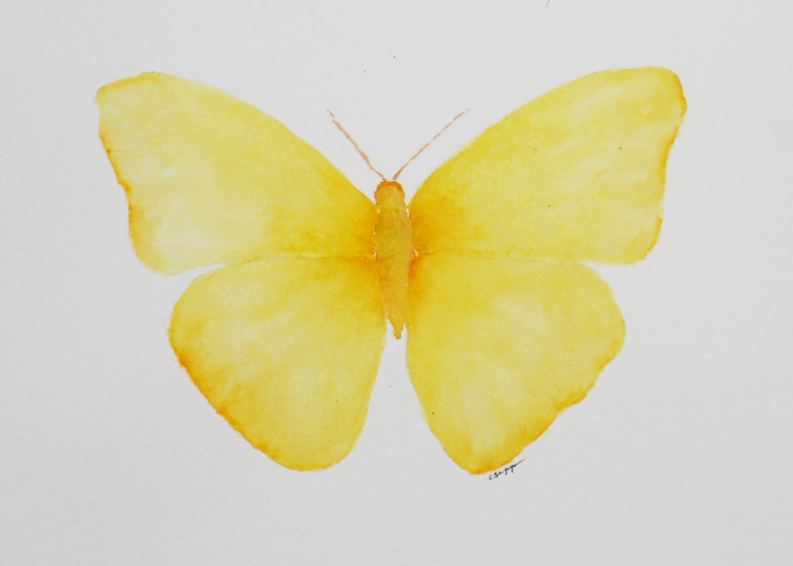 My Painting Room: yellow butterflies