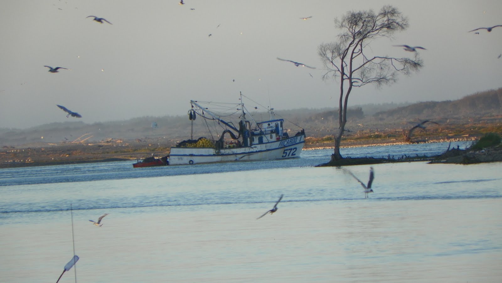 Imágenes de Constitución La Barra del Río Maule