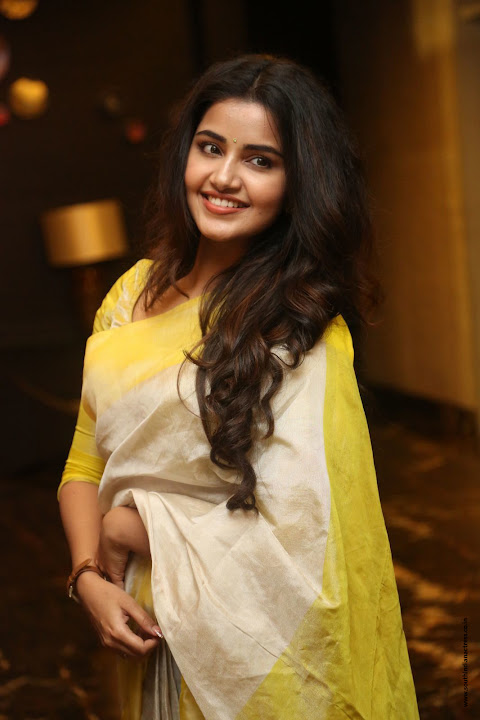 Anupama Parameswaran at SVC Success Celebrations
