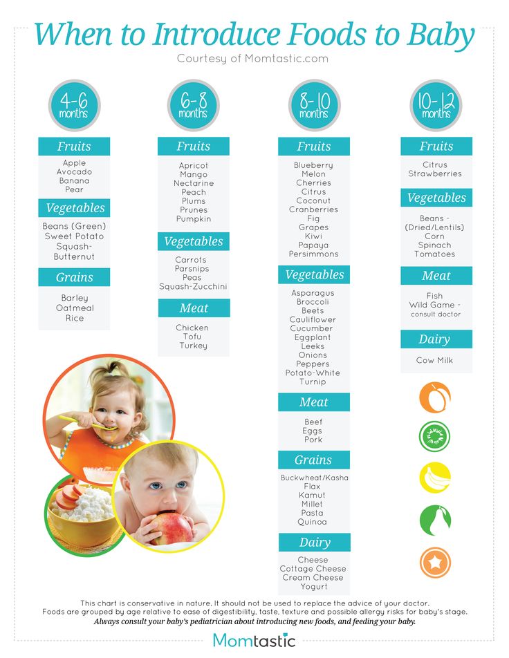 Best Baby Food For 5 Month Old - an in Depth Anaylsis on What Works and ...