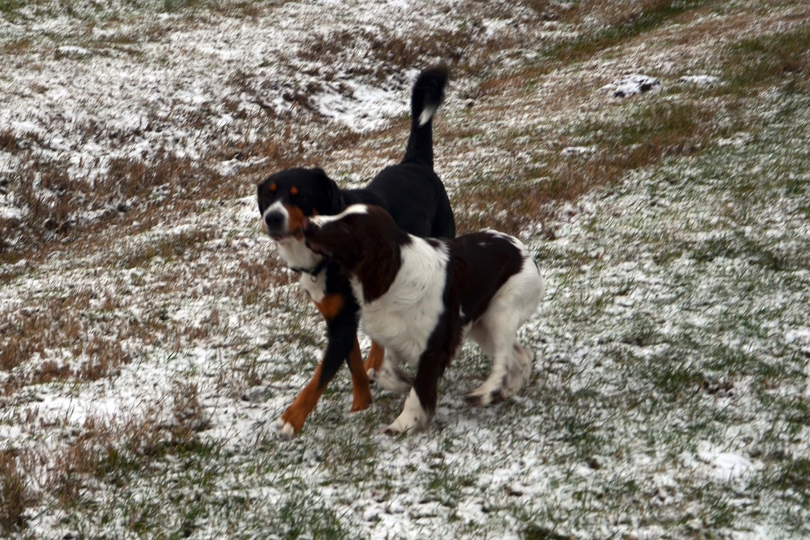 Clooneys Welt 14.01.2013 Hast Du Problem, Alter?