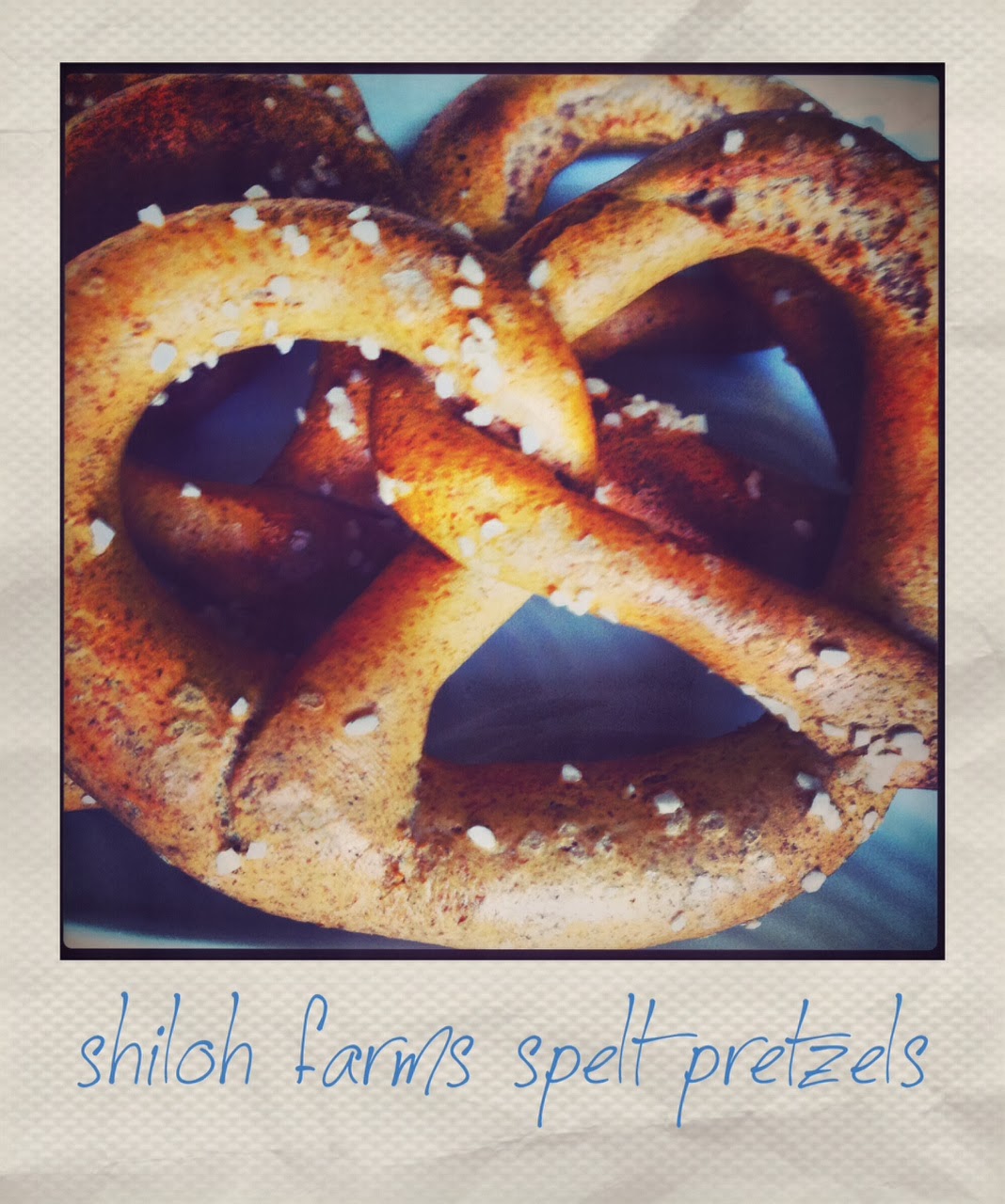 Sans Soy Shiloh Farms Spelt Pretzels