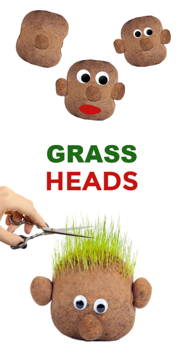 Grass Heads for Kids