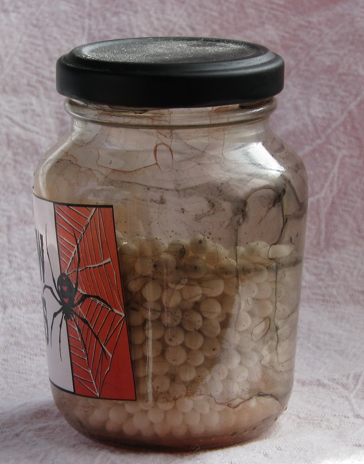 POTIONSMITH: Black Widow Spider Eggs