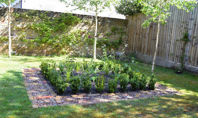 The Garden Spout: There’s no such thing as a small garden project!