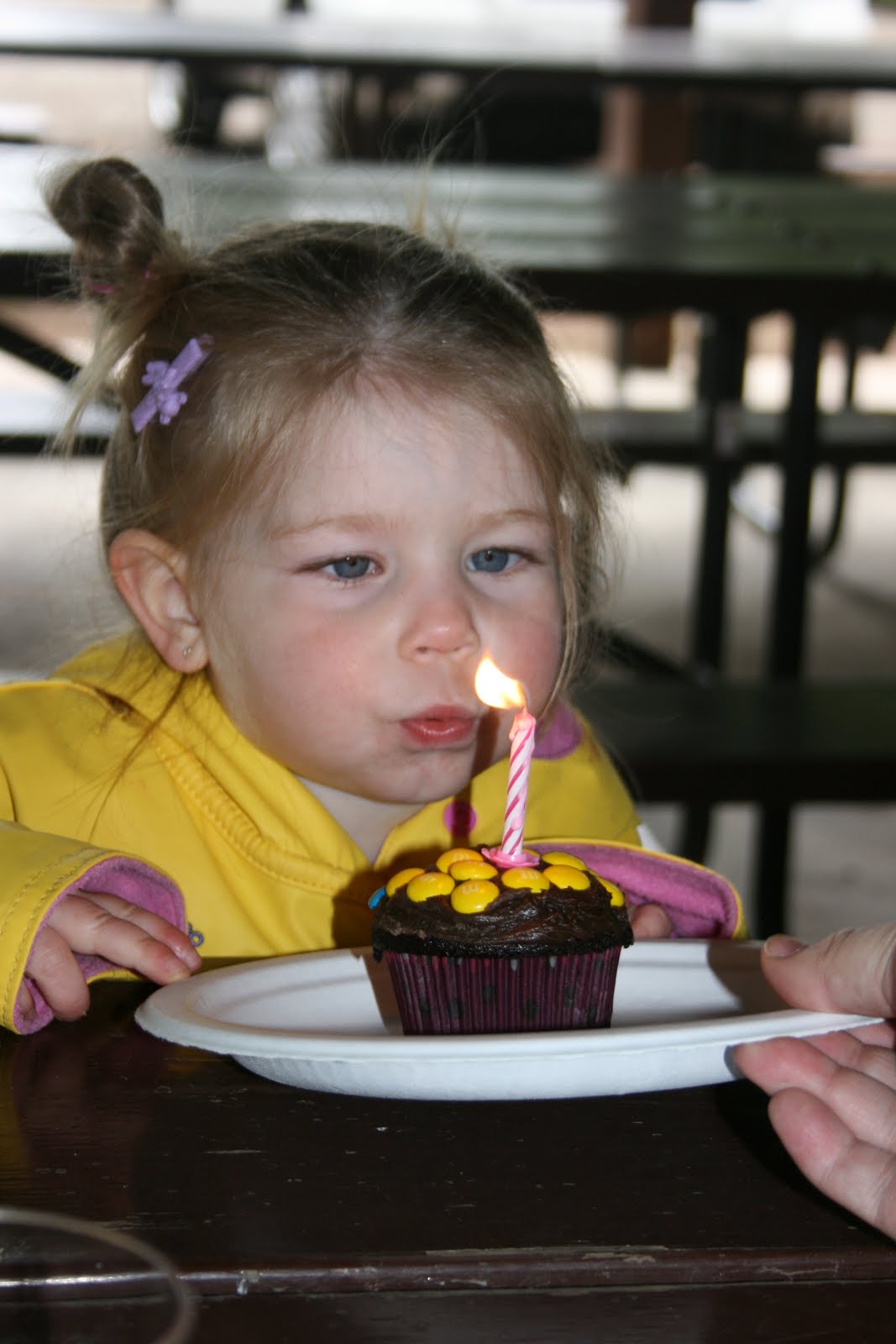 Barker Ellie s 3rd Birthday Party