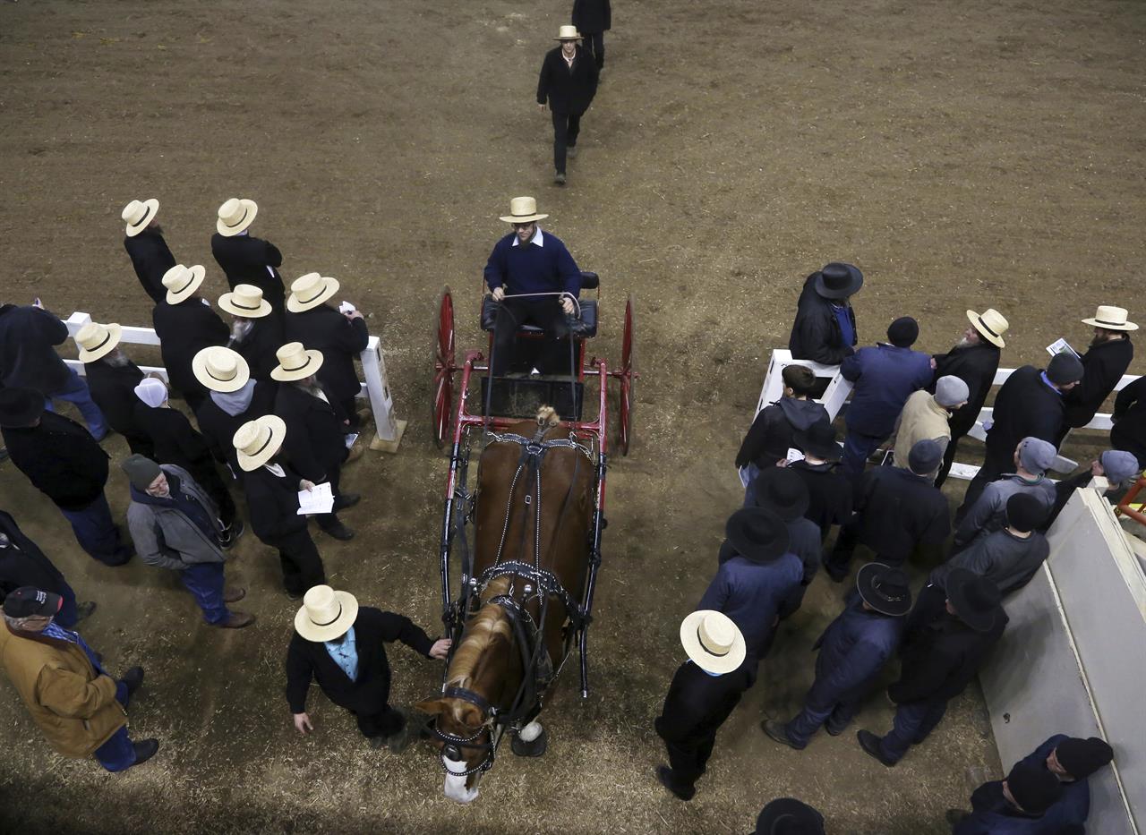 though amish are loathe to shoulder debt they are very good credit risks and rarely default meaning banks are eager to lend them money for land purchases though amish are loathe to shoulder debt they are very good credit risks and rarely default meaning banks are eager to lend them money for land purchases