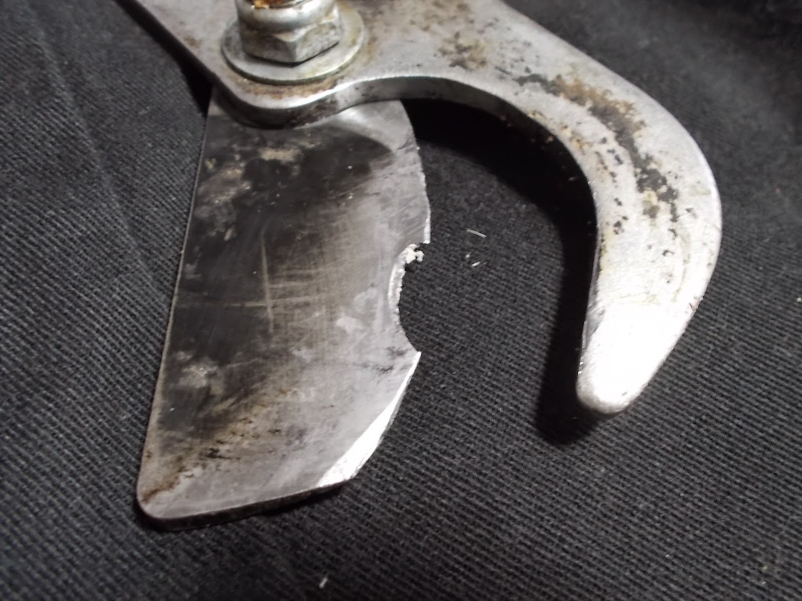 Eaton Rapids Joe Repairing a Chipped Blade