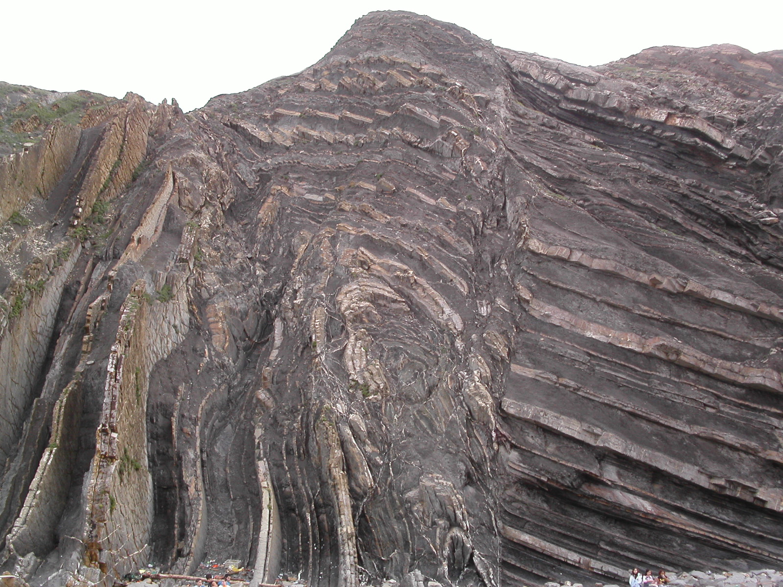 Biologia eta Geologia 4 MEÑAKOXEKO PILLOWLABAK (2) PILLOWLAVAS DE