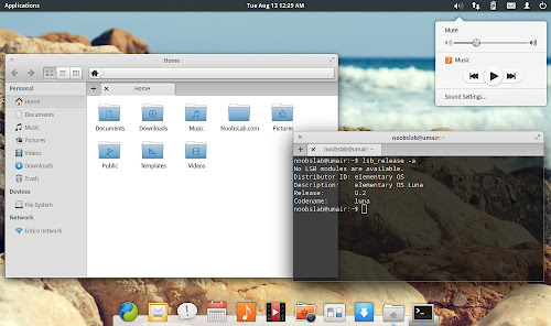 elementary os