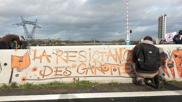 La résistance des carottes, ZAD de Notre-Dame-des-Landes La résistance des carottes, ZAD de Notre-Dame-des-Landes