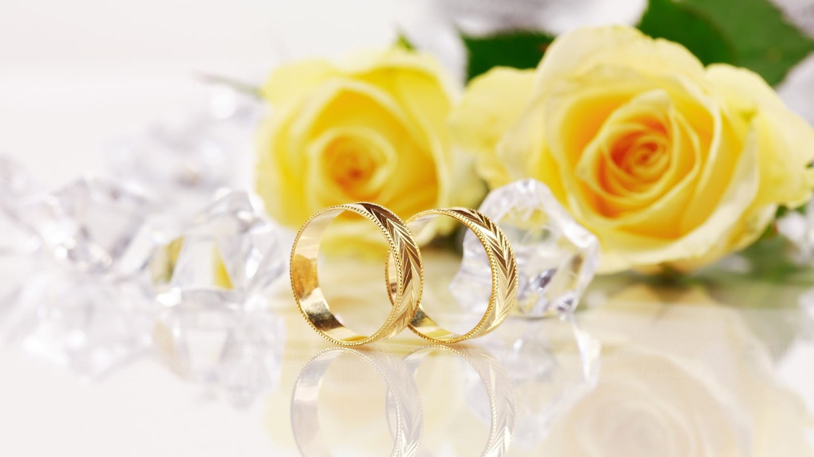 http://2.bp.blogspot.com/-jP-n1J8u6xU/UPPUNjdiZaI/AAAAAAAAPvU/5vbWJ02XNQ0/s1600/yellow-roses-and-gold-wedding-rings.jpg