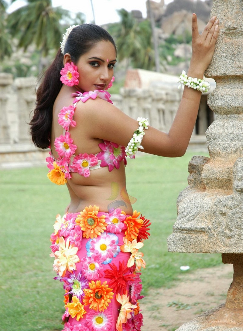 Ragini Kannada Actress Hot Stills - Actress Masala Gallery