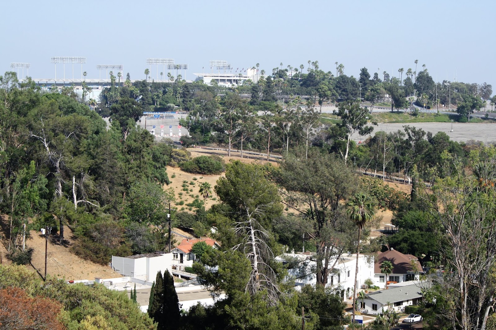 Los Angeles Revisited L.A. turns 237...from Quintero Street in Echo Park