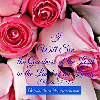 I will see the goodness of the Lord in the land of the living. (Psalm 27:13) 