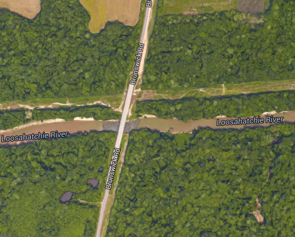 Bigfoot Near Loosahatchie River? The Crypto Crew