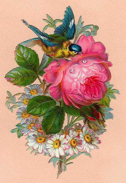 clipart flowers and birds - photo #7
