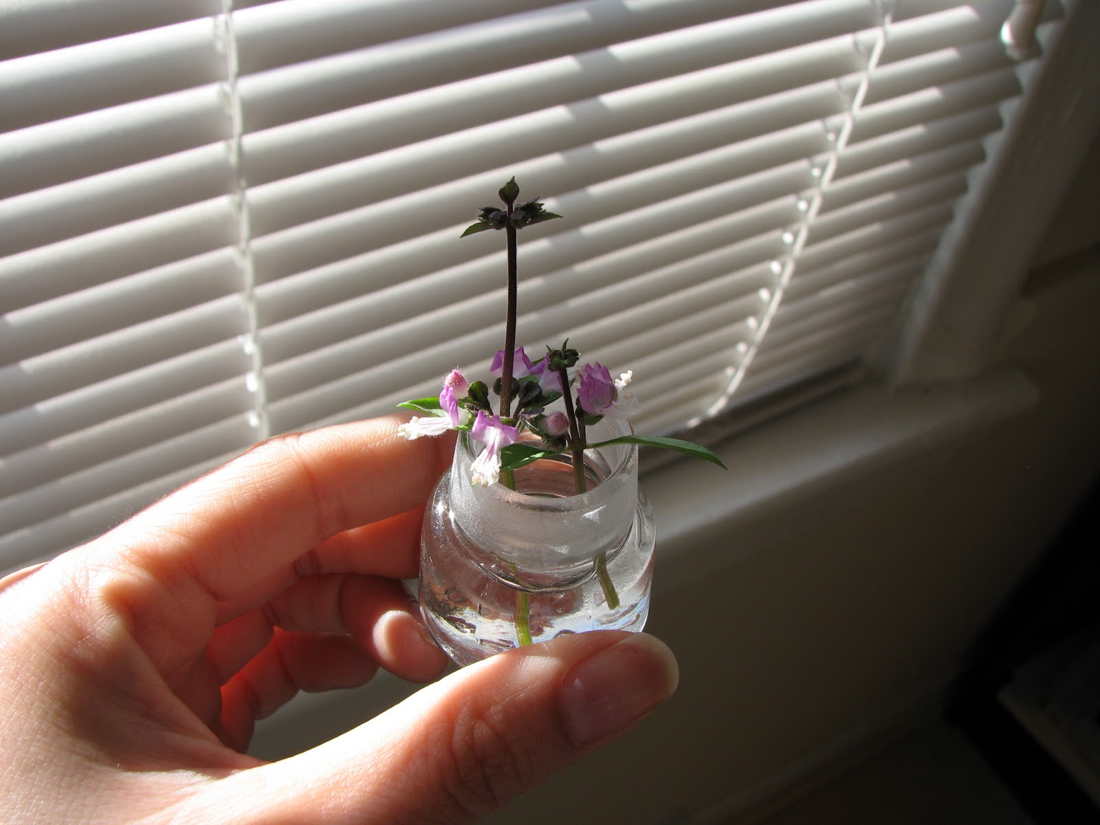 You 'N' Jo Mini Vase for Mini Flowers