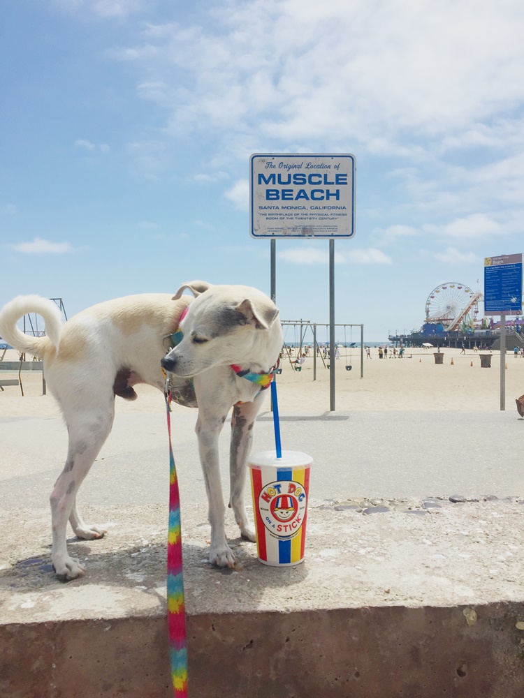 TBT HOT DOG HAPPY AT HOT DOG ON A STICK IN SANTA MONICA — HAPPYHAZEL
