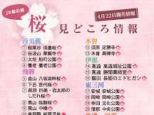 名古屋+北陸櫻花情報+預測 2016