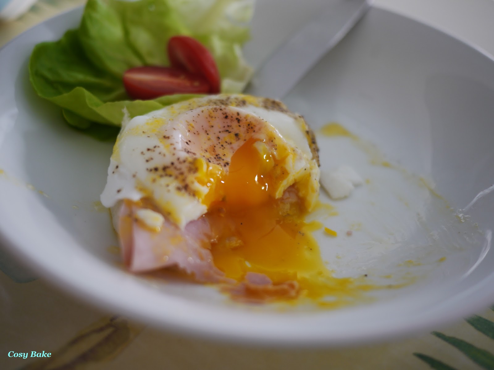 Poached Egg with Hollandaise Sauce