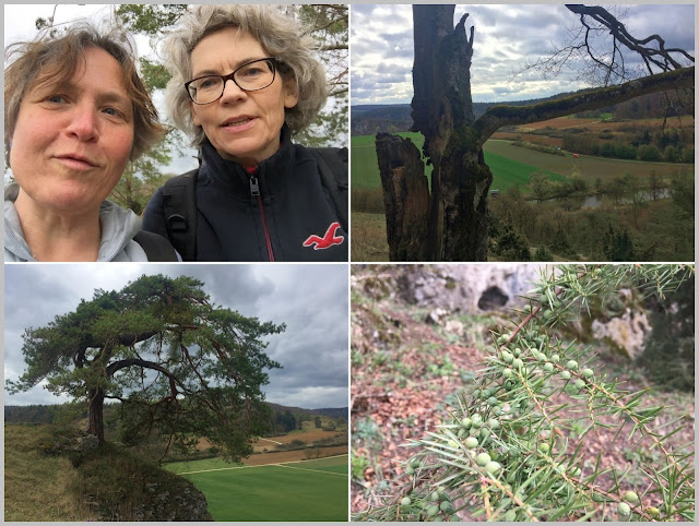 Bistum Eichstatt Aktuelle Meldungen Details