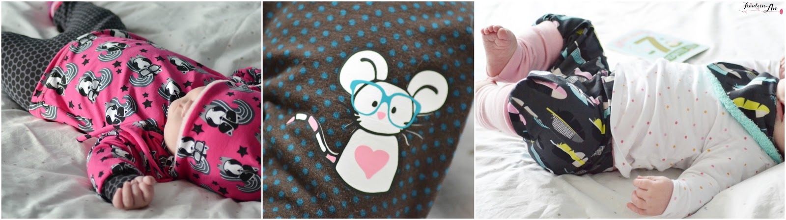 Schaffhauser Kantonaler Schwingerverband Oktober 2019