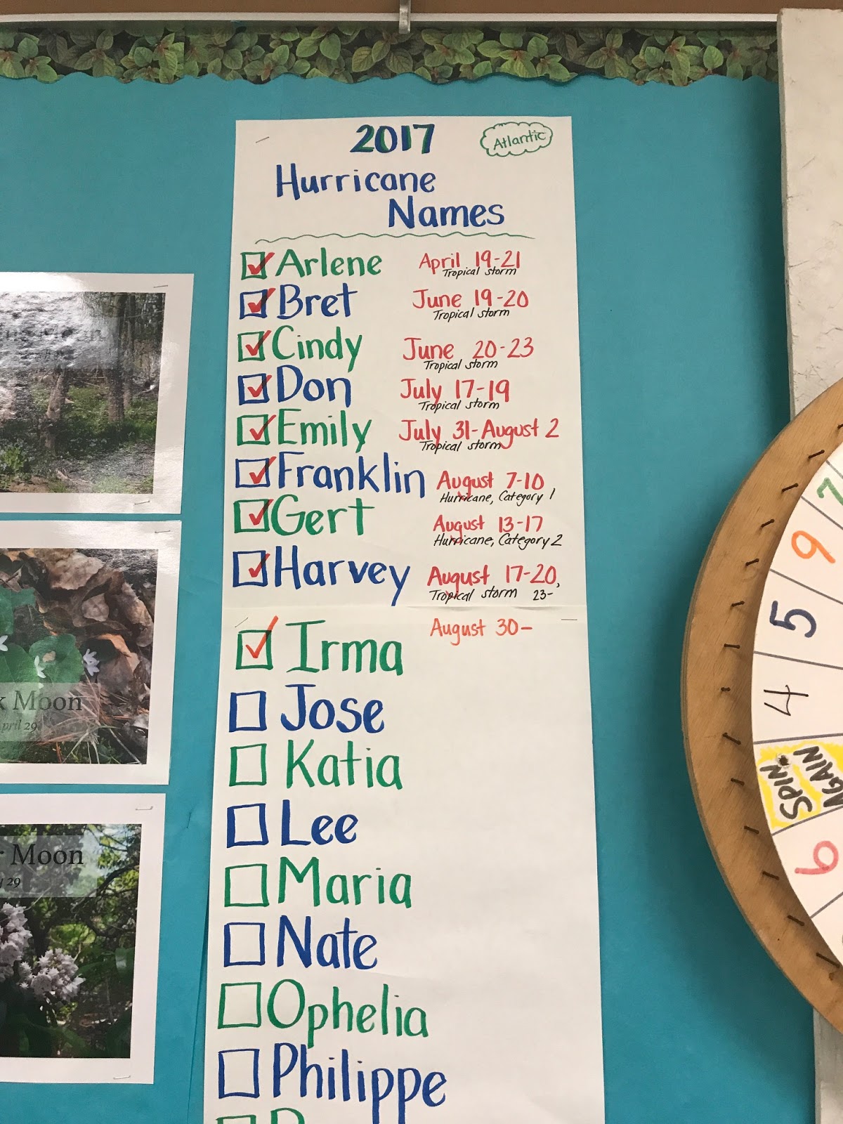 In My Classroom: The Forest and the Trees: Sixth Grade Science