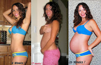 Bikini Pregnant Progression