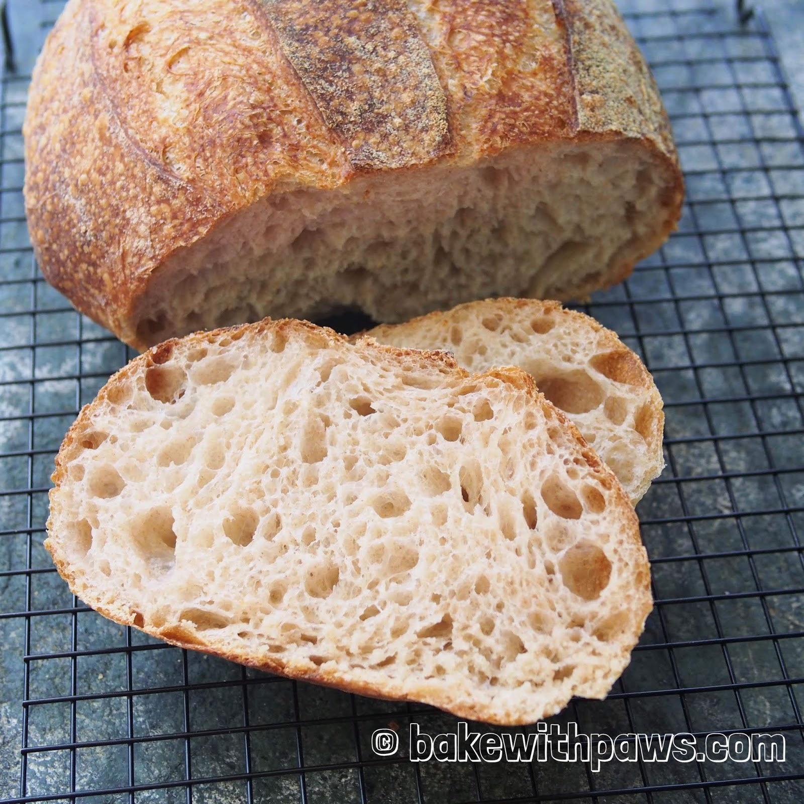 Basic Open Crumb Sourdough Bread BAKE WITH PAWS