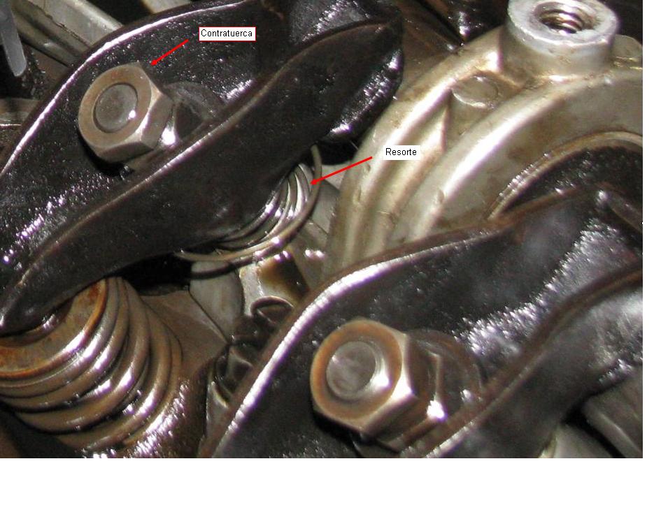 Metiendo mano en la Torino Basta